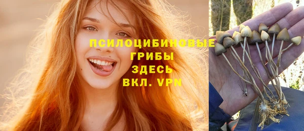 spice Балахна
